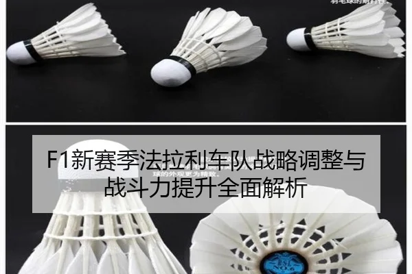 F1新赛季法拉利车队战略调整与战斗力提升全面解析